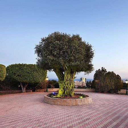 Olive Tree Apartments リマソール エクステリア 写真