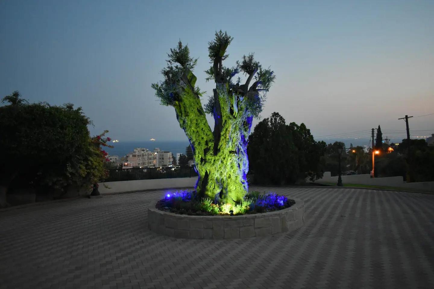 Olive Tree Apartments リマソール エクステリア 写真